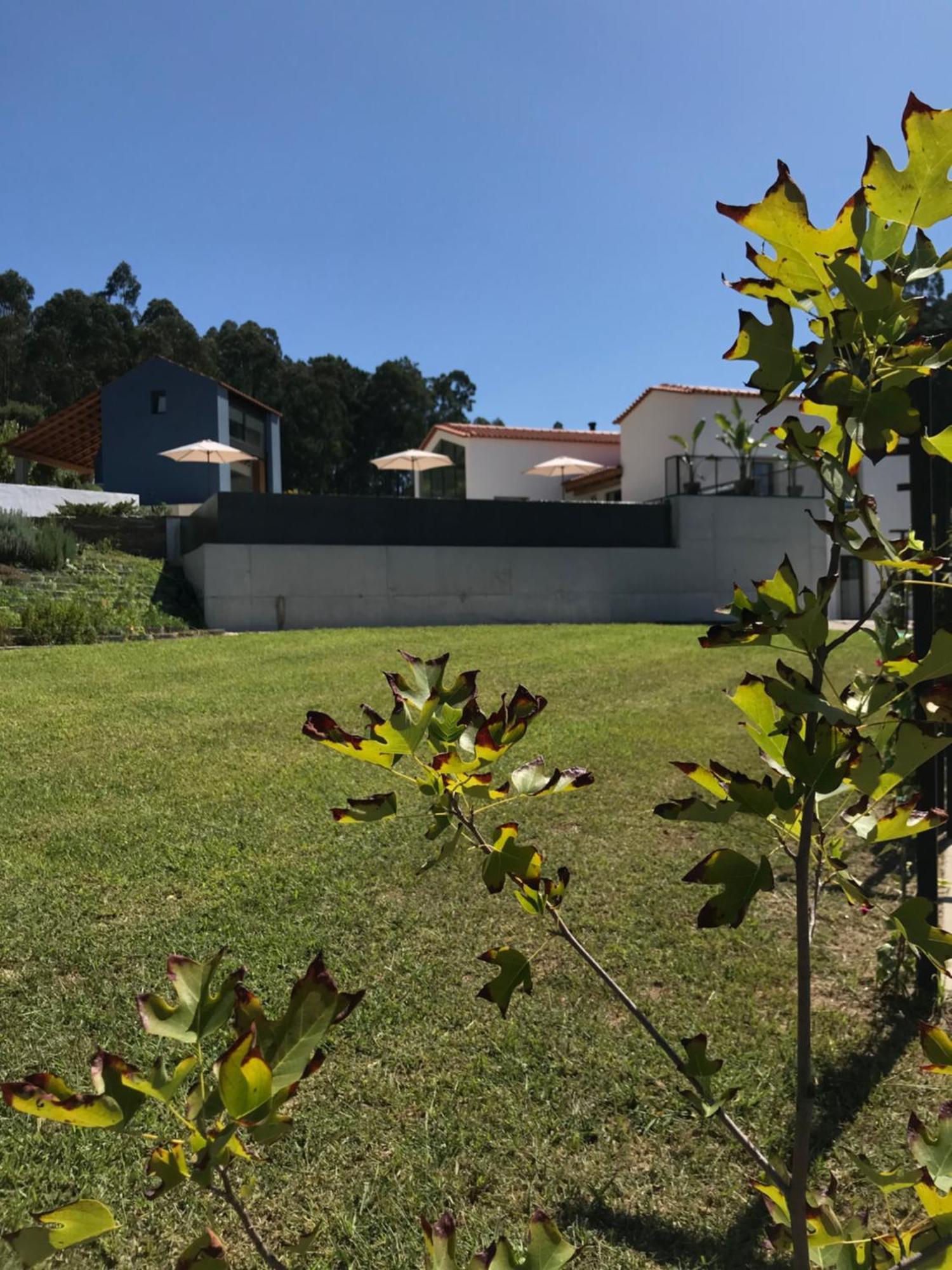Casa Da Milheira - Agroturismo Oliveira de Azeméis Bagian luar foto