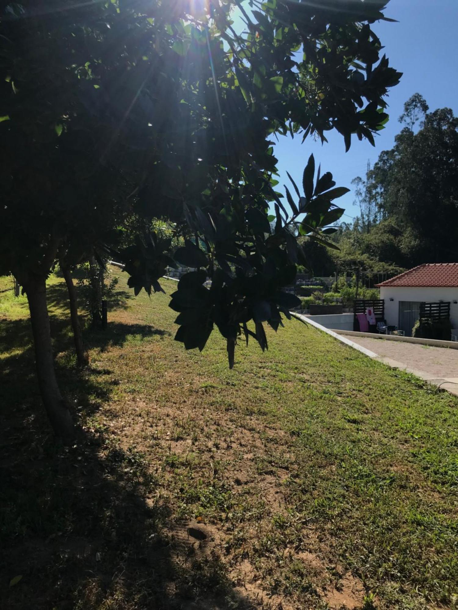 Casa Da Milheira - Agroturismo Oliveira de Azeméis Bagian luar foto