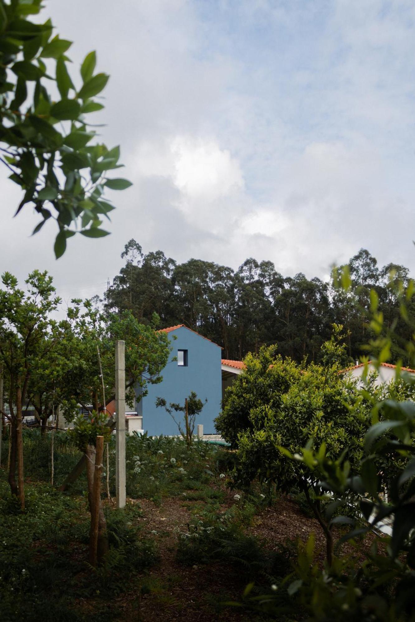 Casa Da Milheira - Agroturismo Oliveira de Azeméis Bagian luar foto
